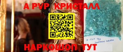 мет Кингисепп