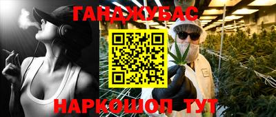 мет Кингисепп