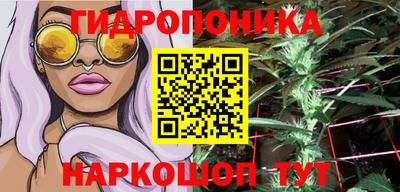 мет Кингисепп