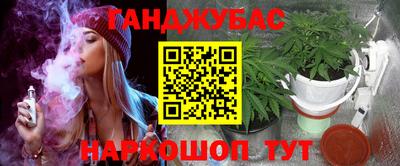 мет Кингисепп