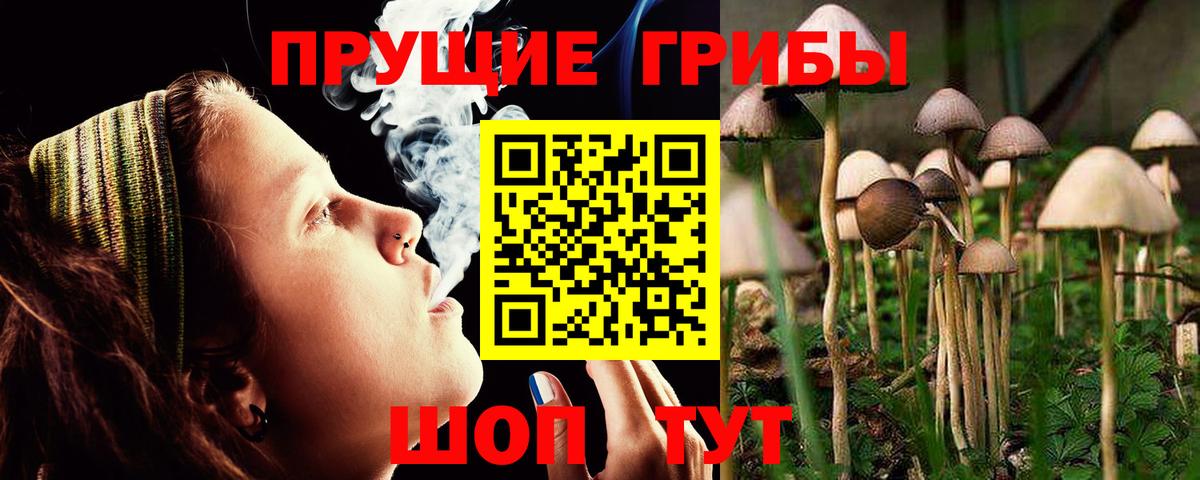 Кохма  Псилоцибиновые грибы Magic Shrooms  Вход с VPN 